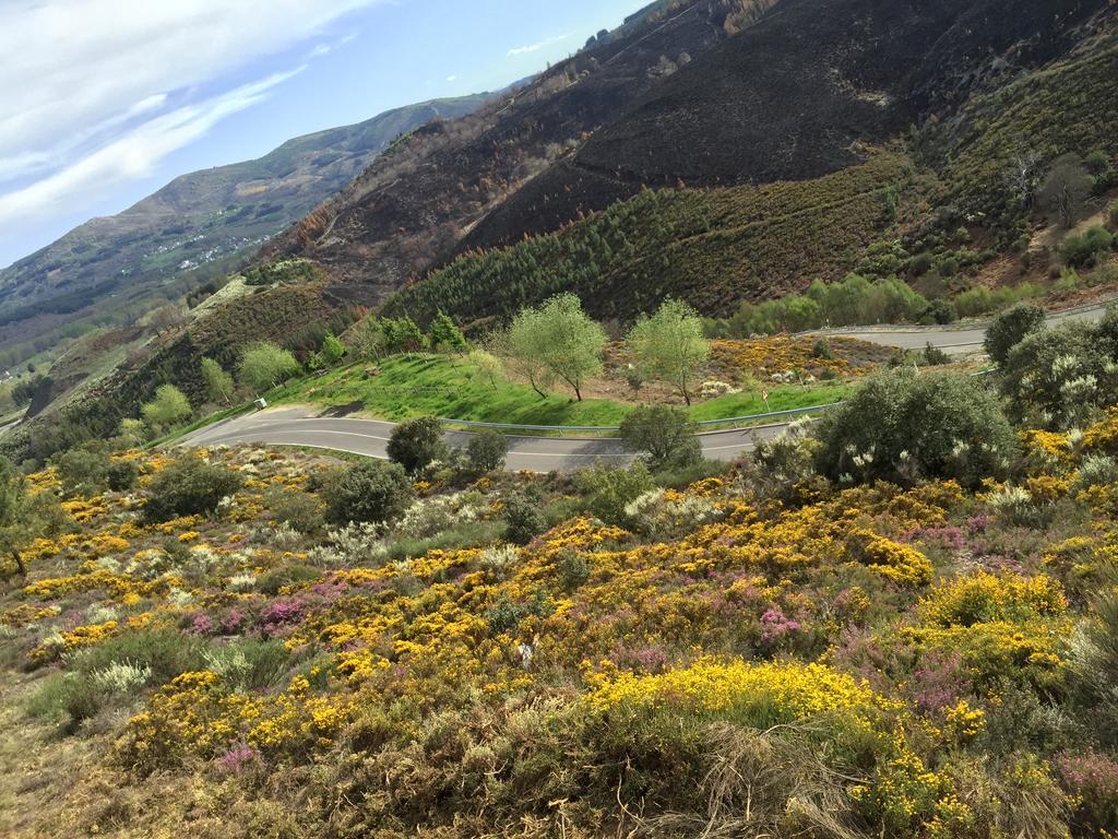 Alojamiento En Entorno Rural Los Trobos Villar de Otero Exterior foto